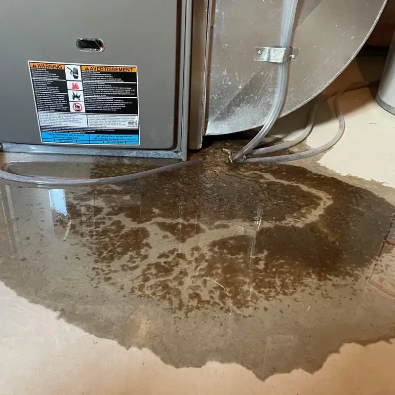 Appliance Leak Cleanup in Grantsburg, WI